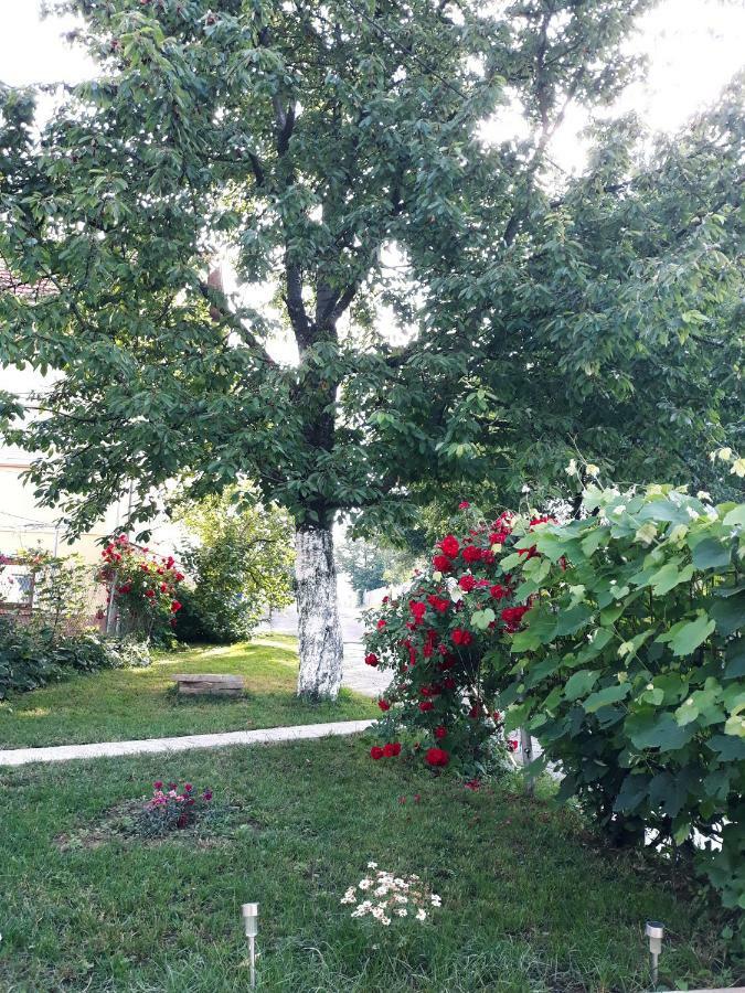 Gospic Riverside Apartment Bagian luar foto