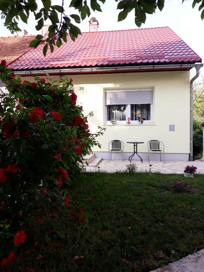 Gospic Riverside Apartment Bagian luar foto